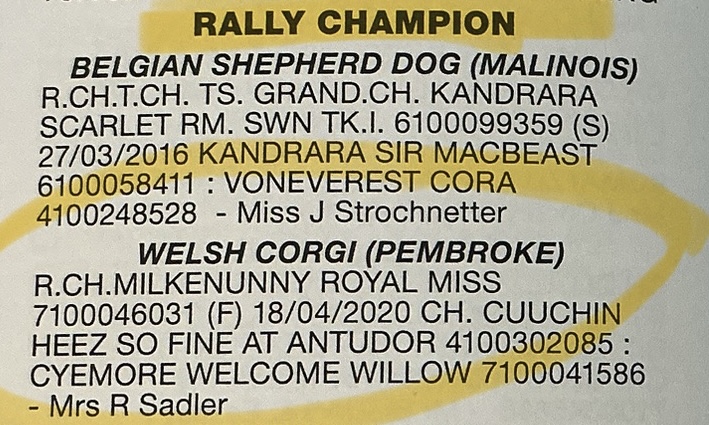 RallyChampion