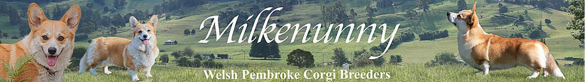 WebsiteBanner3